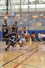 DSC_9061