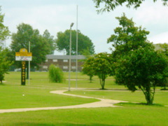 DSC04733.JPG